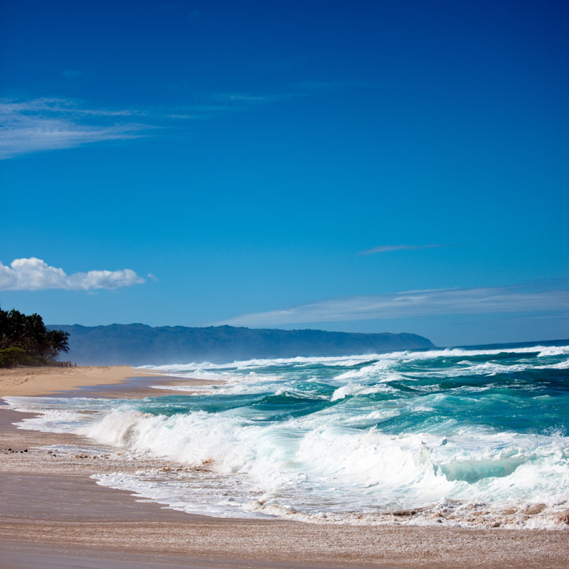 Beautiful Hawaiian Beach by Mlenny - Wrapped Canvas Print