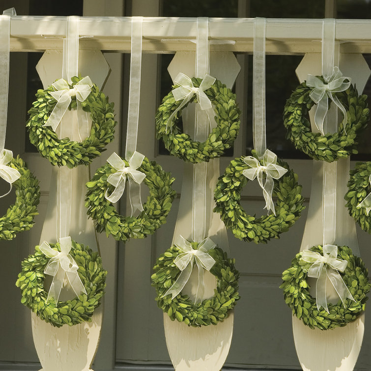 Mills Floral Preserved Boxwood Round Wreath Set with Ribbon