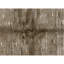 Hand Knotted Area Rug in Gold