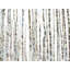 «Birch Trees Forest», reproduction sur toile