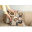 Ensemble de housses de coussin Ambesonne Monstera brun foncé-99020334-99020335