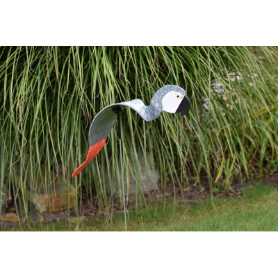 Art de jardin perroquet gris royal africain
