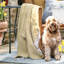 Stauton Throw Blanket-1488330879