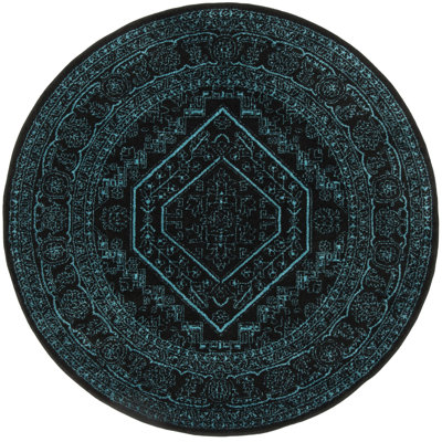 Alisa Performance Oriental Rug