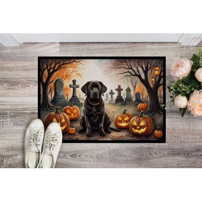 Tapis chocolat intérieur ou extérieur 24 x 36 chocolat Labrador Retriever Spooky