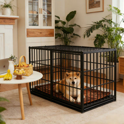 Cage et cage pour chien à double porte