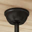 Bhradain 59.8'' Ceiling Fan with LED Lights