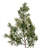66'' in. Faux Cypress Garland