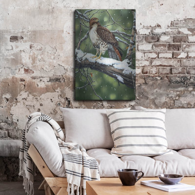 " Red Tailed Hawk " by William Vanderdasson