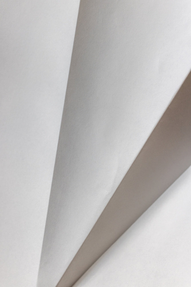 Ivy Bronx Paper Studies 20 | Wayfair.co.uk