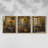 Floral Study  Series  CLXIX  -Set Of 3 Framed Giclee Prints -Ready to Hang-1526493587-1526493589