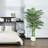Adcock Artificial Palm Tree in White Planter-1373516595
