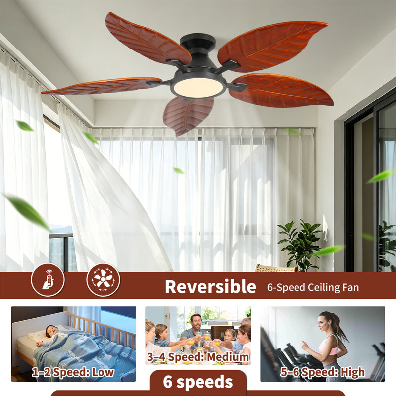 Ventilateur de plafond encastré 52 pouces Tropical