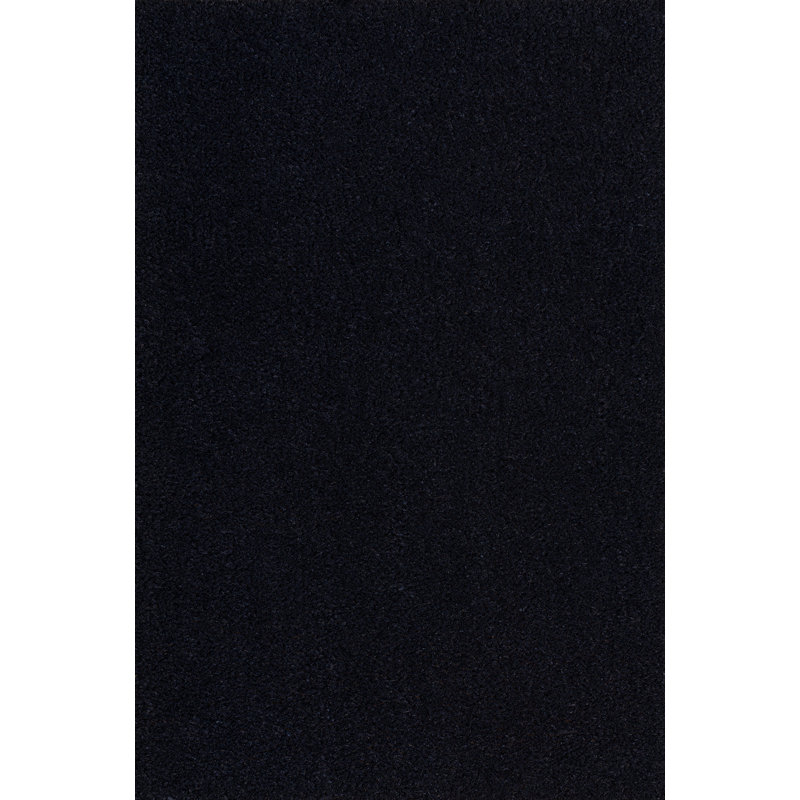 Tapis d'intérieur / extérieur Kalonni, L 17 po x L 30 po, Noir