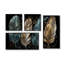 Plumes dorées dorées I - décoration murale moderne 4 panneaux-1704940641-1704940646