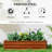 Galvanized Raised Garden Bed, 4' X 2' X 1' Metal Planter Box, For Growing Vegetables, Flowers, Herbs, Succulents, Brown-1714966708