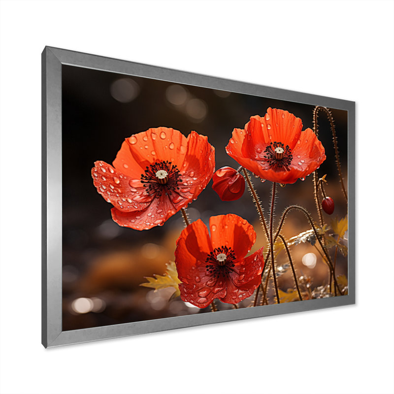 Champ de coquelicots rouges II - impression, Cadre photo argenté, H 30 po x l 40 po x P 1,5 po