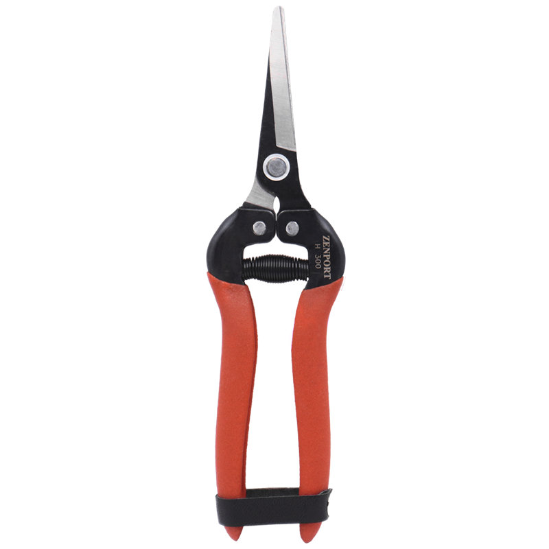 Zenport, Carbon