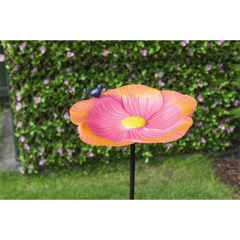 Meranda Metal Single Tier Birdbath