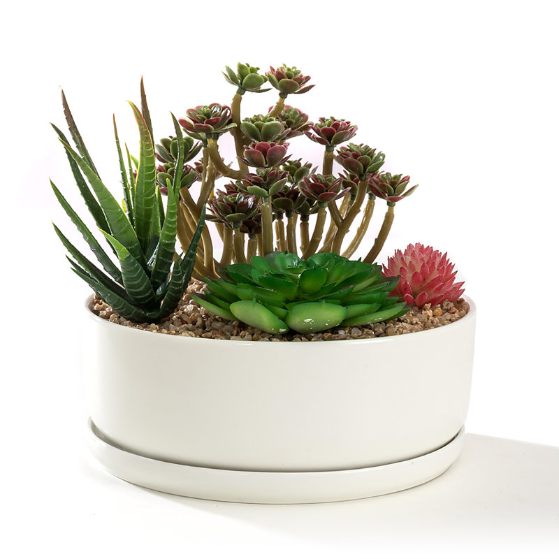 Archie-Jay Ceramic Pot Planter