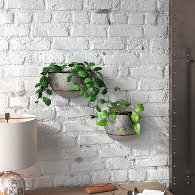 Clarence 2-Piece Resin Indoor/Outdoor Wall Planter Set