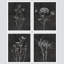 Wildflower Floral Botanical, reproduction encadrée de 4 pièces-90691979-90691983