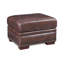 Toulouse 26'' Genuine Leather Square Standard Ottoman