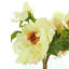 Centre de table pivoines dans un vase