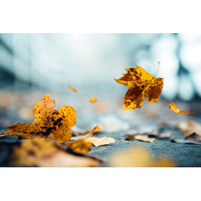 Autumn Time by Borchee