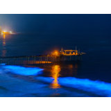 Bioluminescence At Scripps Pier, La Jolla Print by Brian Mc Clean