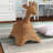Bayou Breeze Quamba Wicker Basket