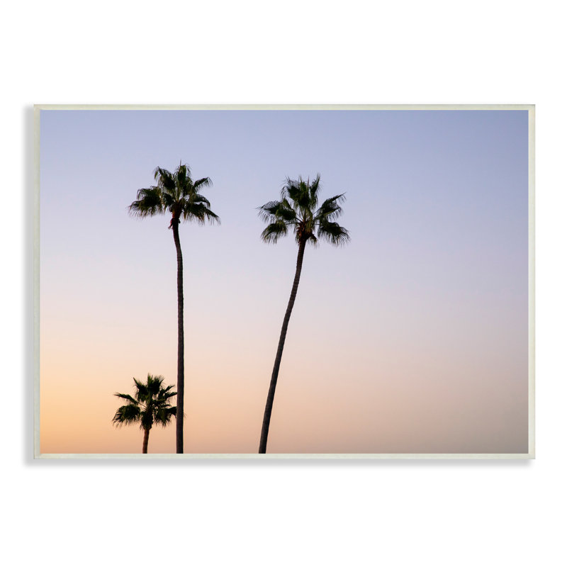 Photographie de Kathy Mansfield - photographie de palmiers tropicaux, H 13 po x l 19 po x P 0,5 po, Plaque murale