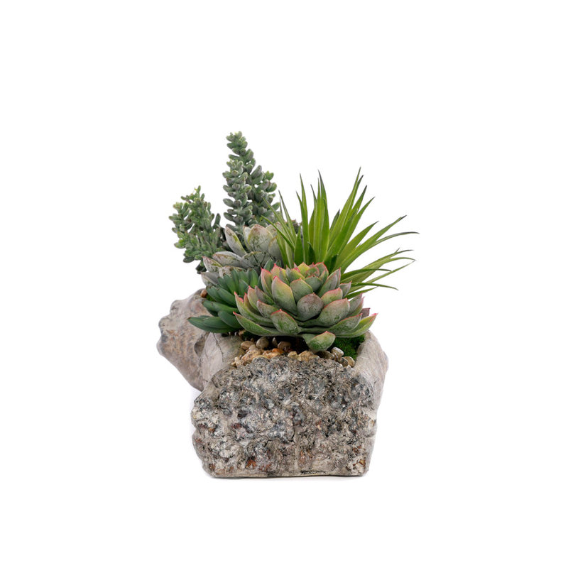 Faux Succulent Plant in Cement Log