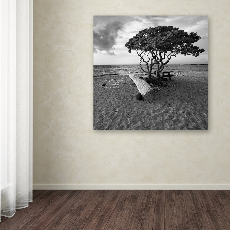 Black and White Hawaiian Tree Landscape Canvas Art