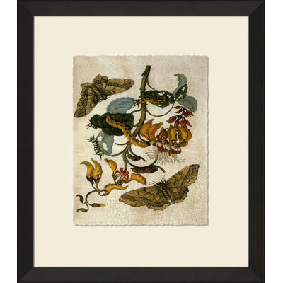 Crackled Insect Collection 2 Painting