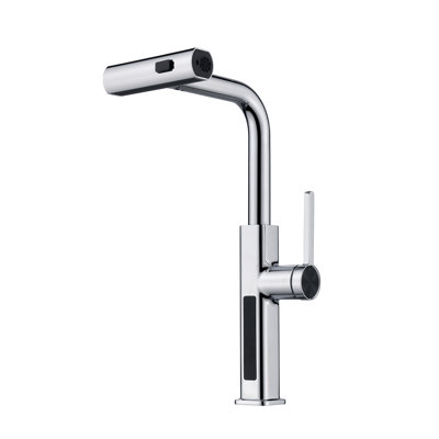 Single Handle Kitchen Faucet with Accessories