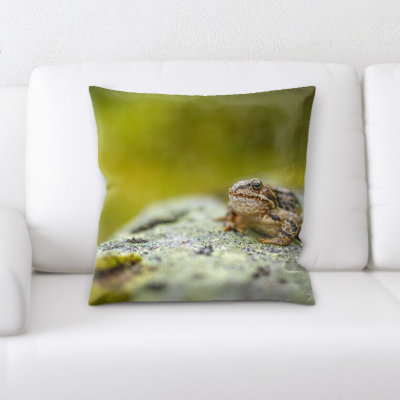 Coussin décoratif flou