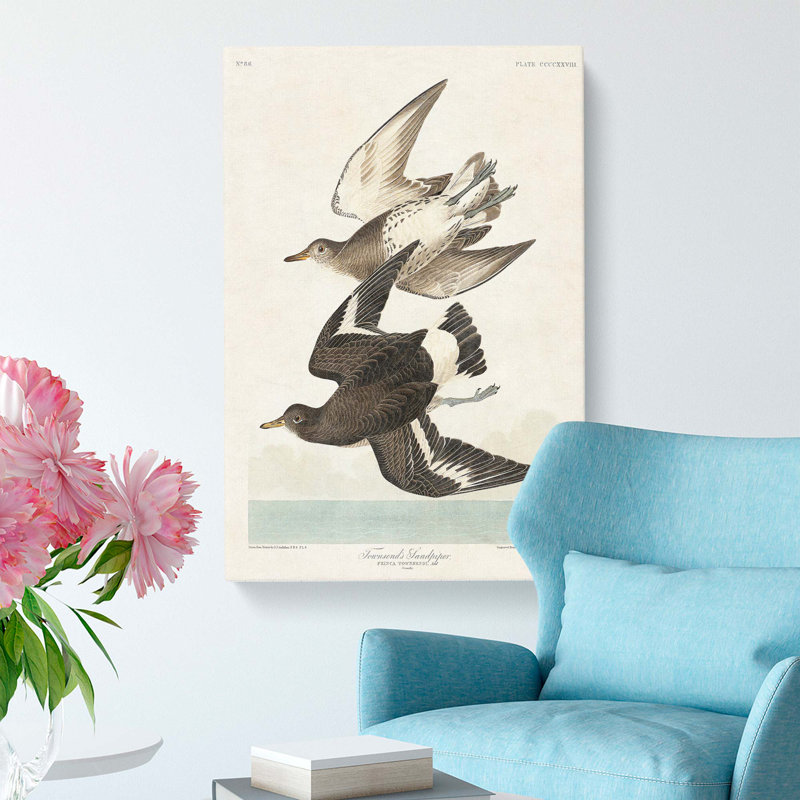 Flying Sandpiper Birds by John Audubon - Wrapped Canvas, 50cm H x 35cm W x 3cm D