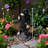 Chimpanzee and Dwarf Statues