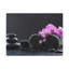 Wall Art on Canvas-316842437