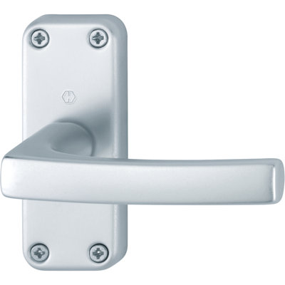 Right Door Handle