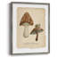 Champignons des bois, reproduction encadrée - bois massif-106520457