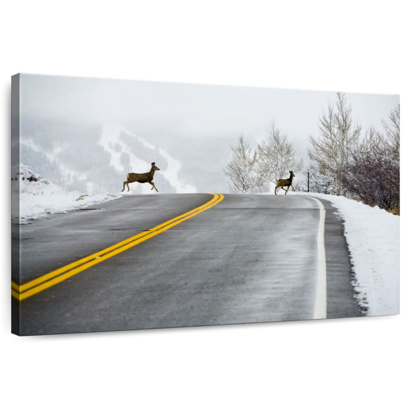 Mehar Deer Crossing Road, H 8 po x l 12 po