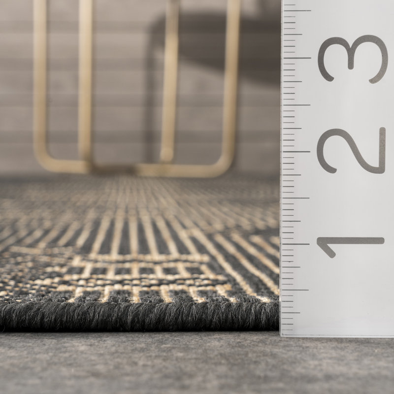 Tapis intérieur / extérieur gris anthracite Kaitlynmarie, Rectangle 4 pi x 6 pi