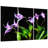 "Violete Belle" Oversized 72"x 36" Frameless Free-Floating Reverse Printed Tempered Art Glass Panels Set