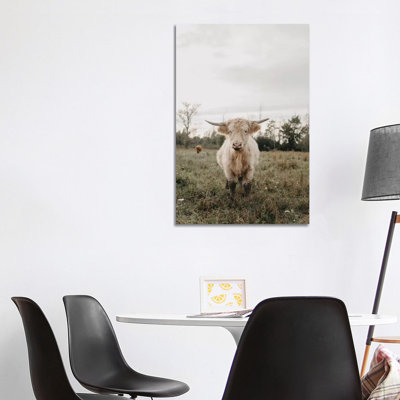 " The Highland Cow " by Chelsea Victoria