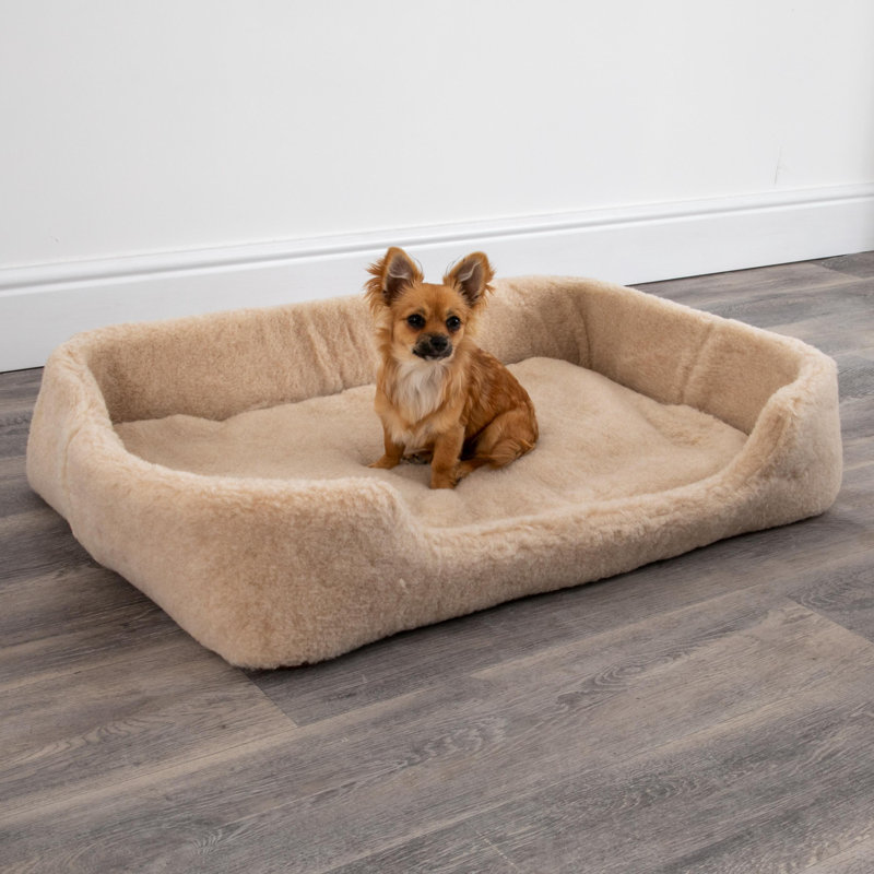 Azaiah Fleece Pet Bed, Cappucino, 15cm H x 90cm W x 60cm D