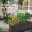 Plastic Plant Box Herb Rattan Garden Planter Box Planter For Vegetables, Garden Beds, Used For Garden Flower Or Vegetable