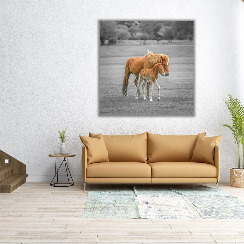 Cheval avec poulain - reproduction d'art sur toile, H 40 po x l 40 po