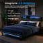 Upholstered Bed-1003577015